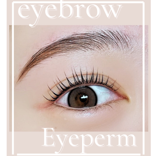 【¥12,000⇨¥10,000】眉デザイン&まつ毛パーマ