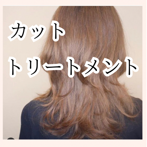【新規】カット/トリートメント 