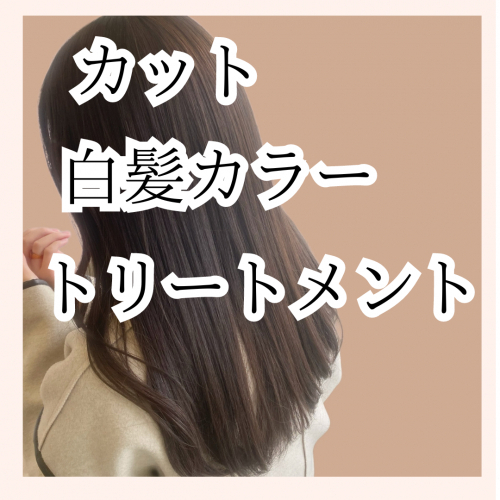 【お得】白髪カラー/カット/トリートメント