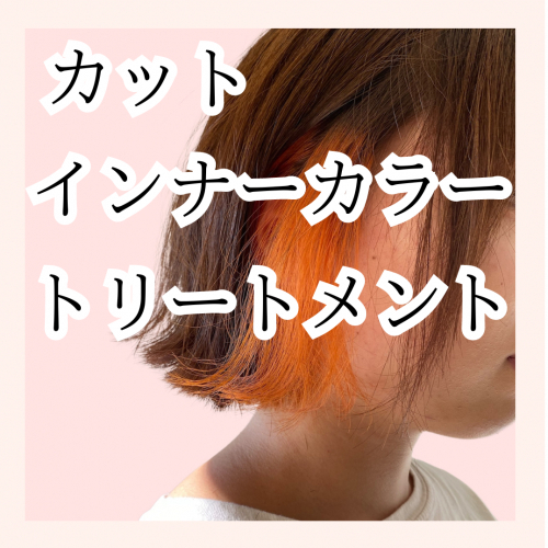 【人気♩】インナーカラー/カット/トリートメント