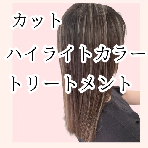 【新規】ハイライト/カット/トリートメント