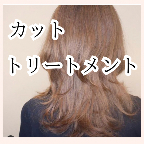 カット/トリートメント