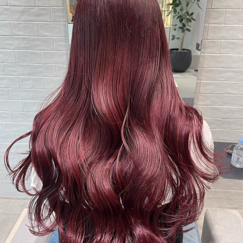 【透明感】ダブルカラー＋デザインカット（SB込）￥39600