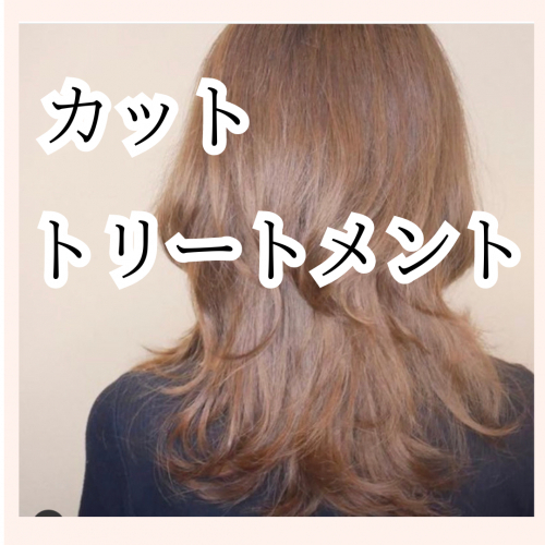 カット/キラキラトリートメント
