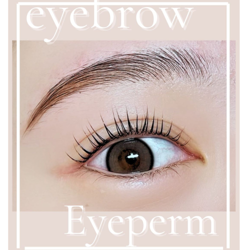 【まつ毛】チケット購入