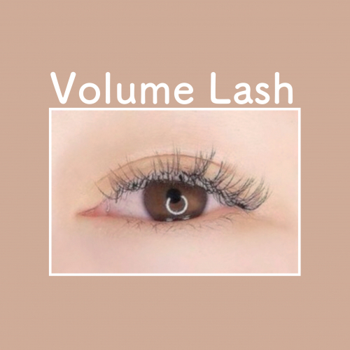 ボリュームラッシュ100束