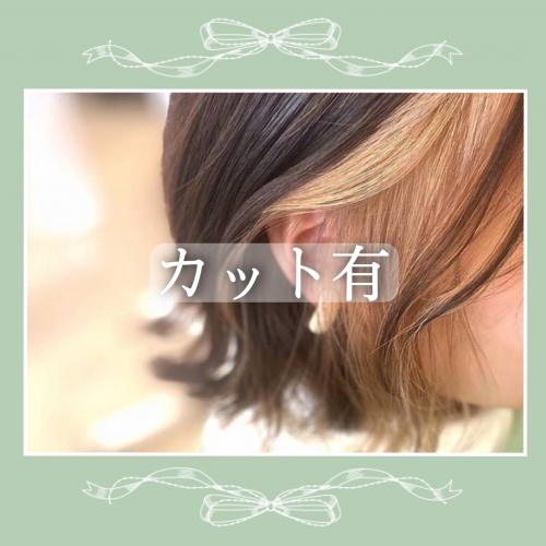 【カラー】インナーカラー(カット有)